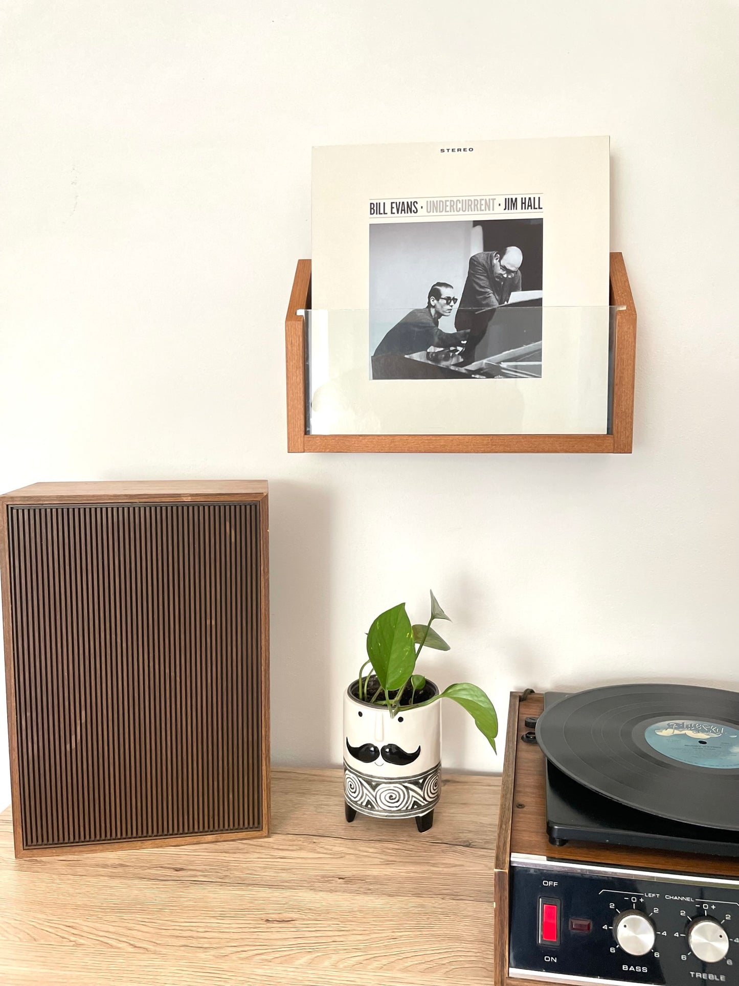 Vinyl Vault | Wall Mount Vinyl Record Holder LP | Italian Design Storage | Bixdesign