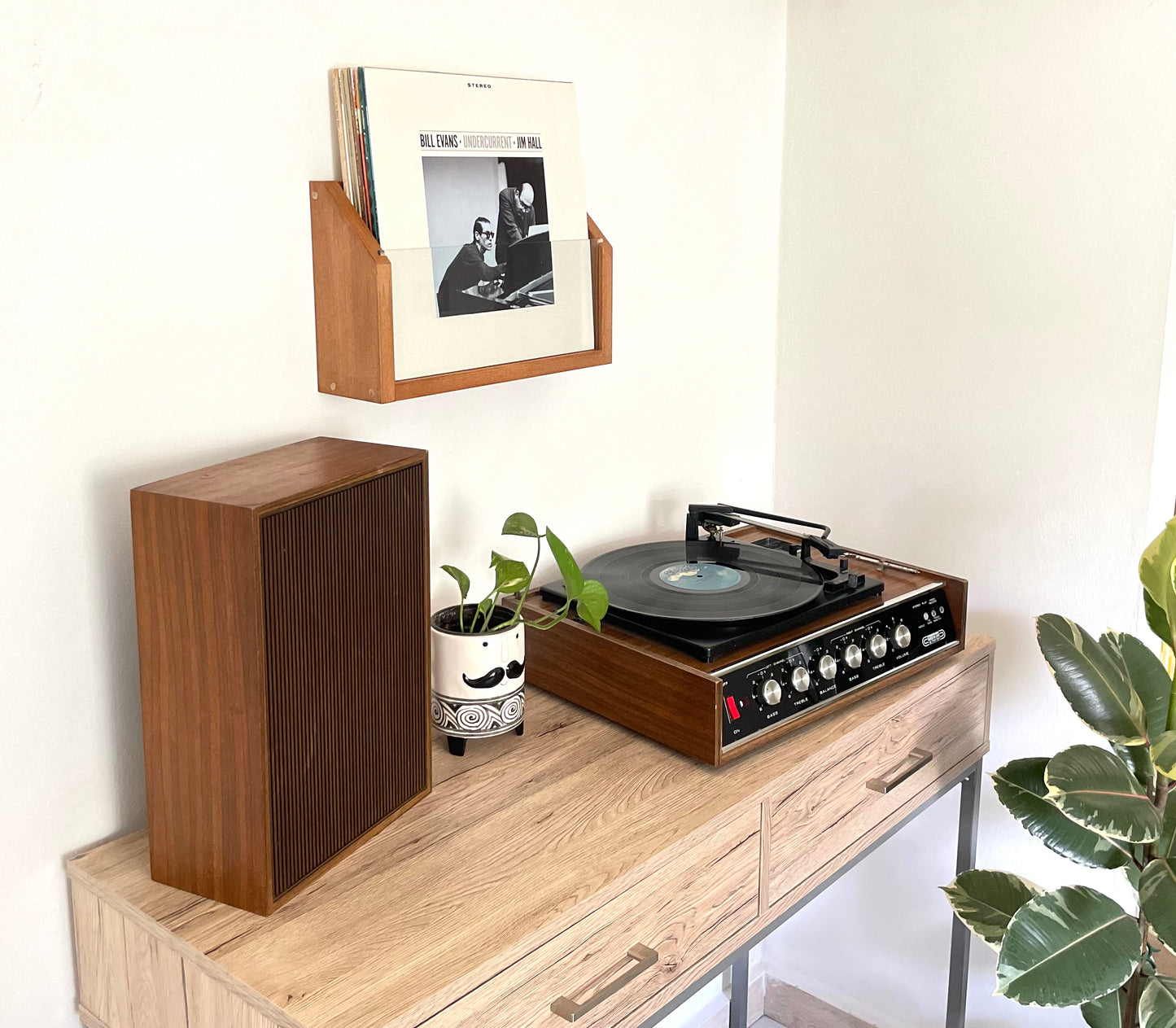 Vinyl Vault | Wall Mount Vinyl Record Holder LP | Italian Design Storage | Bixdesign