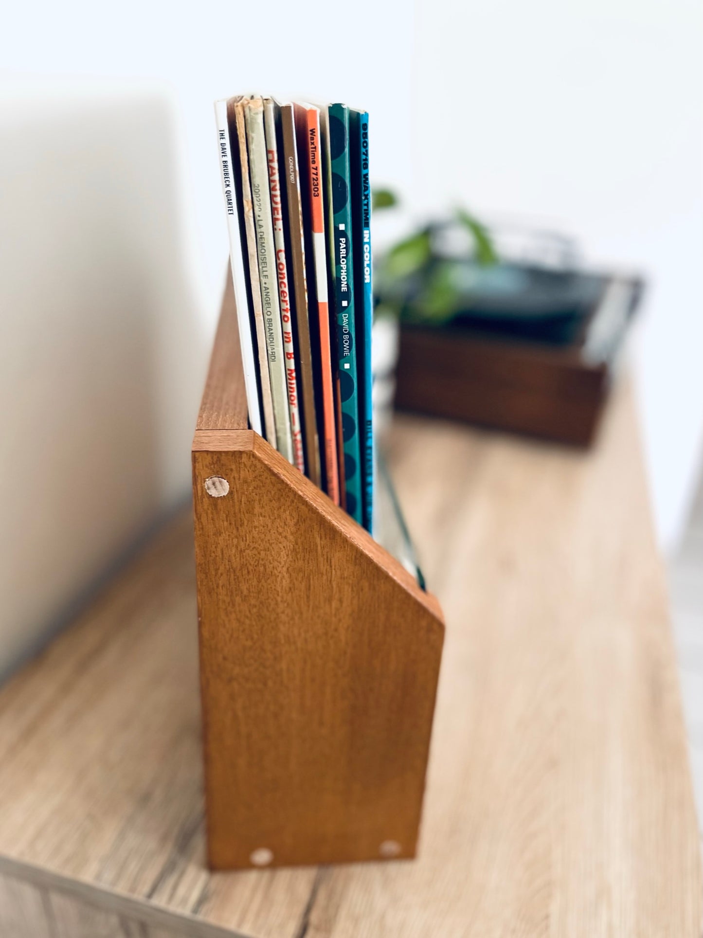Vinyl Vault | Wall Mount Vinyl Record Holder LP | Italian Design Storage | Bixdesign