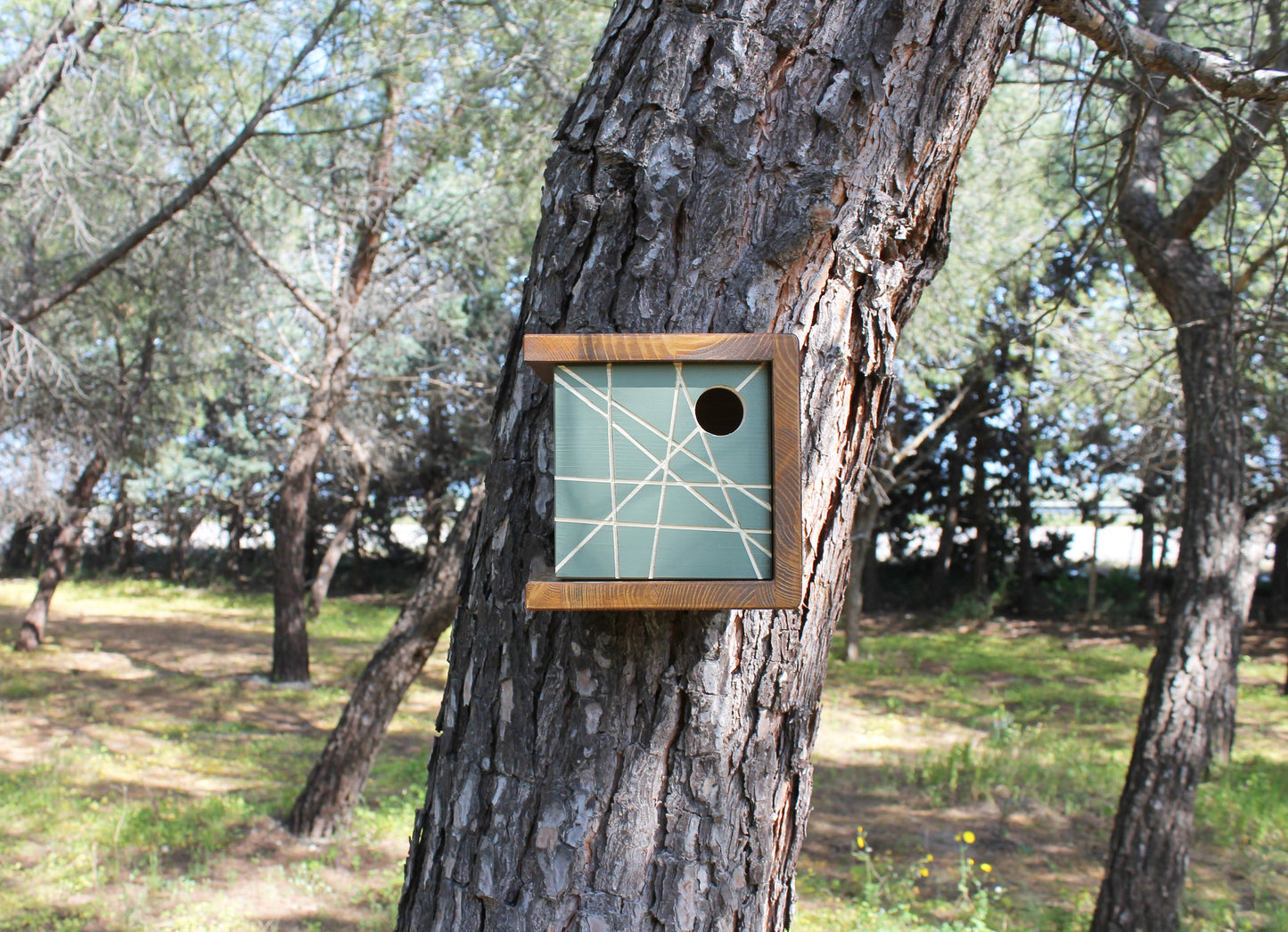 Modern Wood birdhouse 