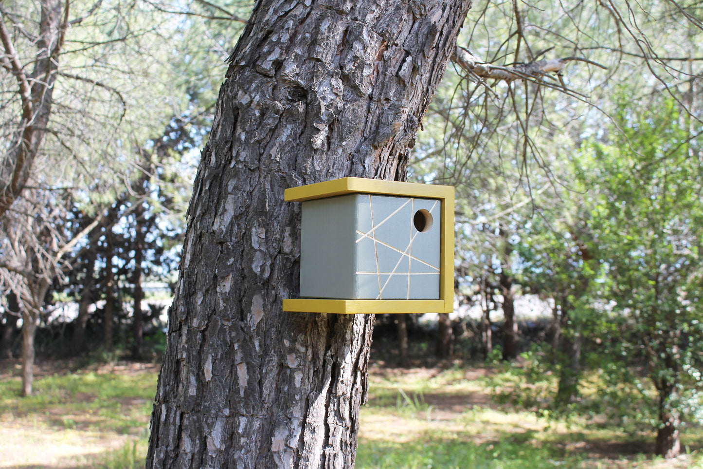 KU-BIRD YELLOW Casa nidificazione per uccellini