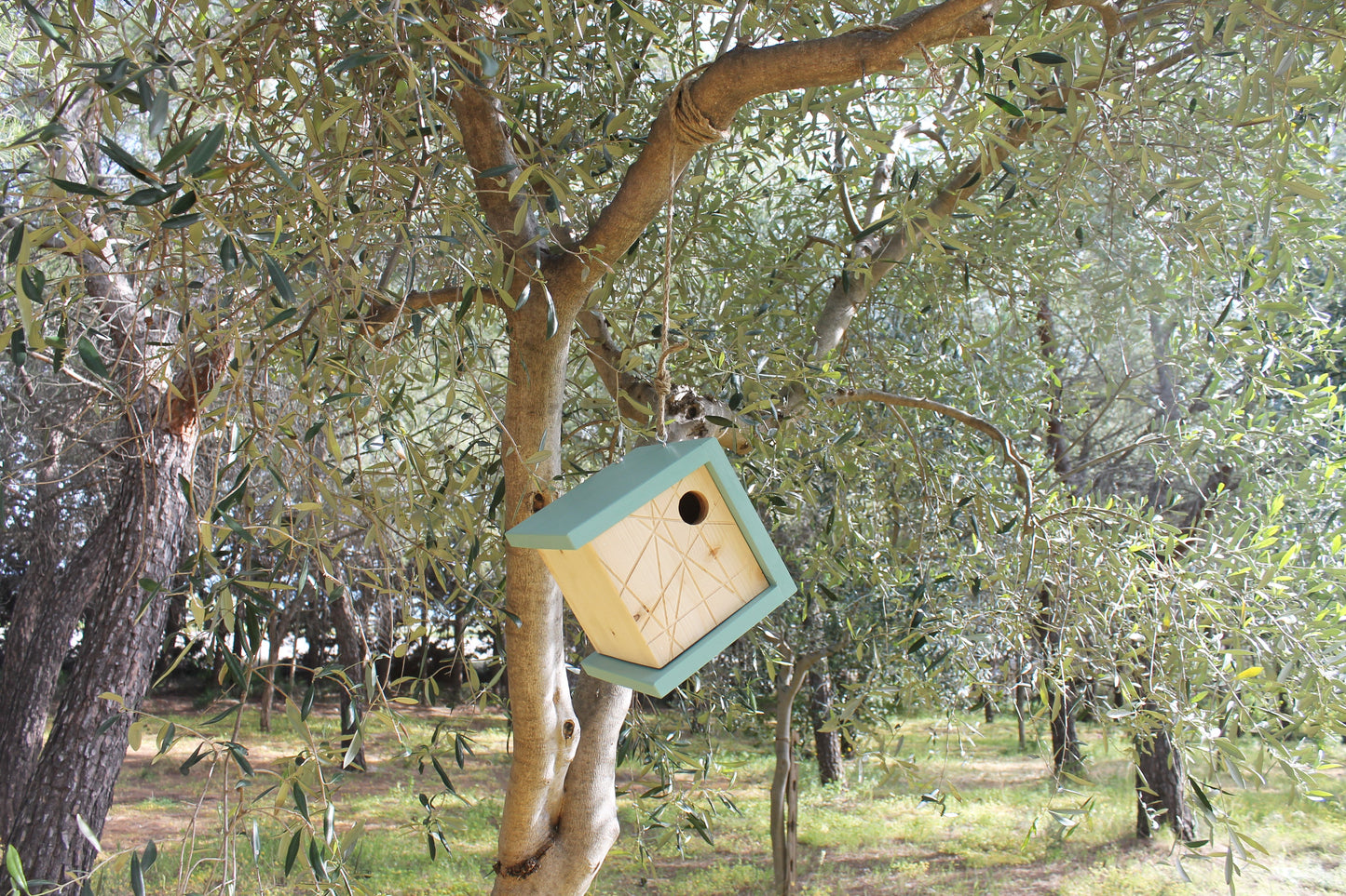 Modern Bird house in wood for Outdoor garden.