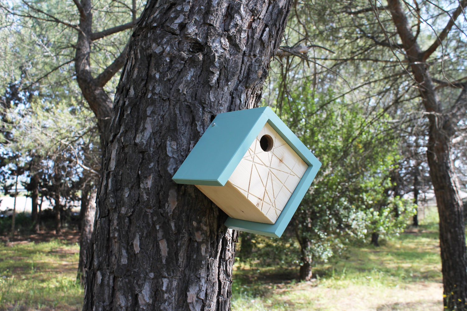 Modern Bird house in wood for Outdoor garden.