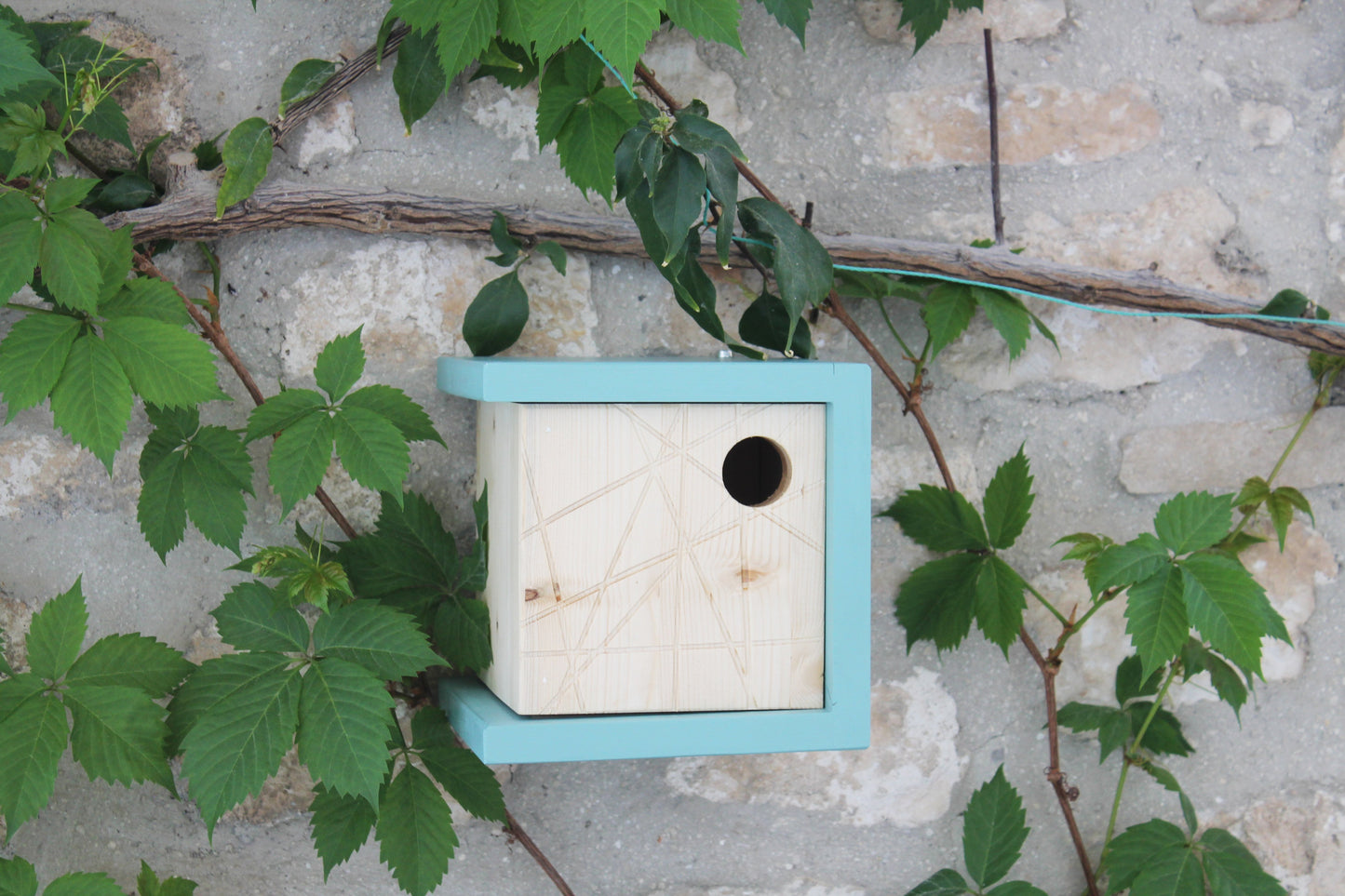 KU-BIRD BLUE Casa nidificazione per uccellini