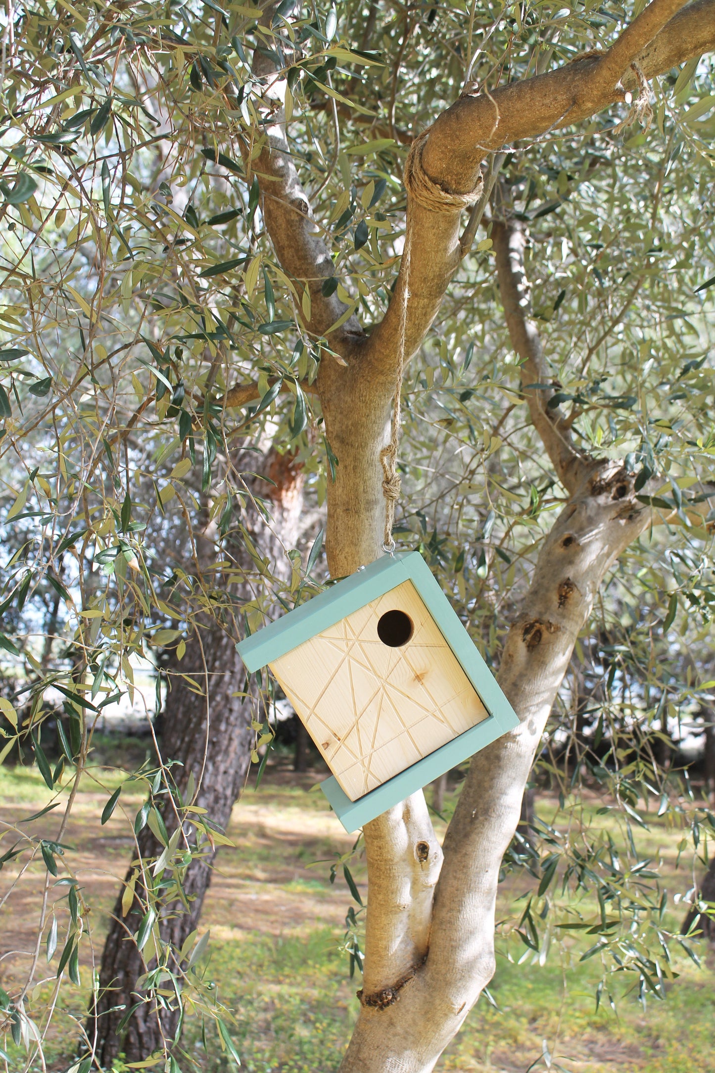 KU-BIRD BLUE Casa nidificazione per uccellini