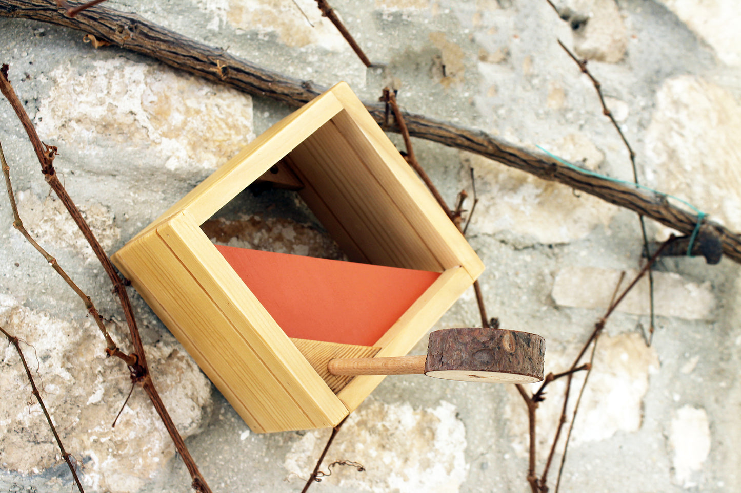 Modern Bird feeder in natural wood. Ku-Bird Feeder