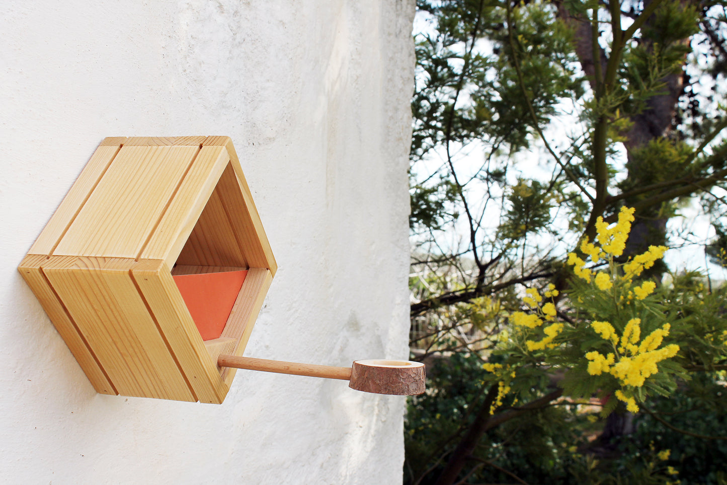 Modern Bird feeder in natural wood. Ku-Bird Feeder