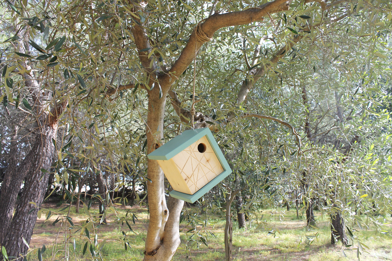 Modern Bird house  in wood for Outdoor garden. 