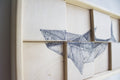 SHARK. Disegno su legno