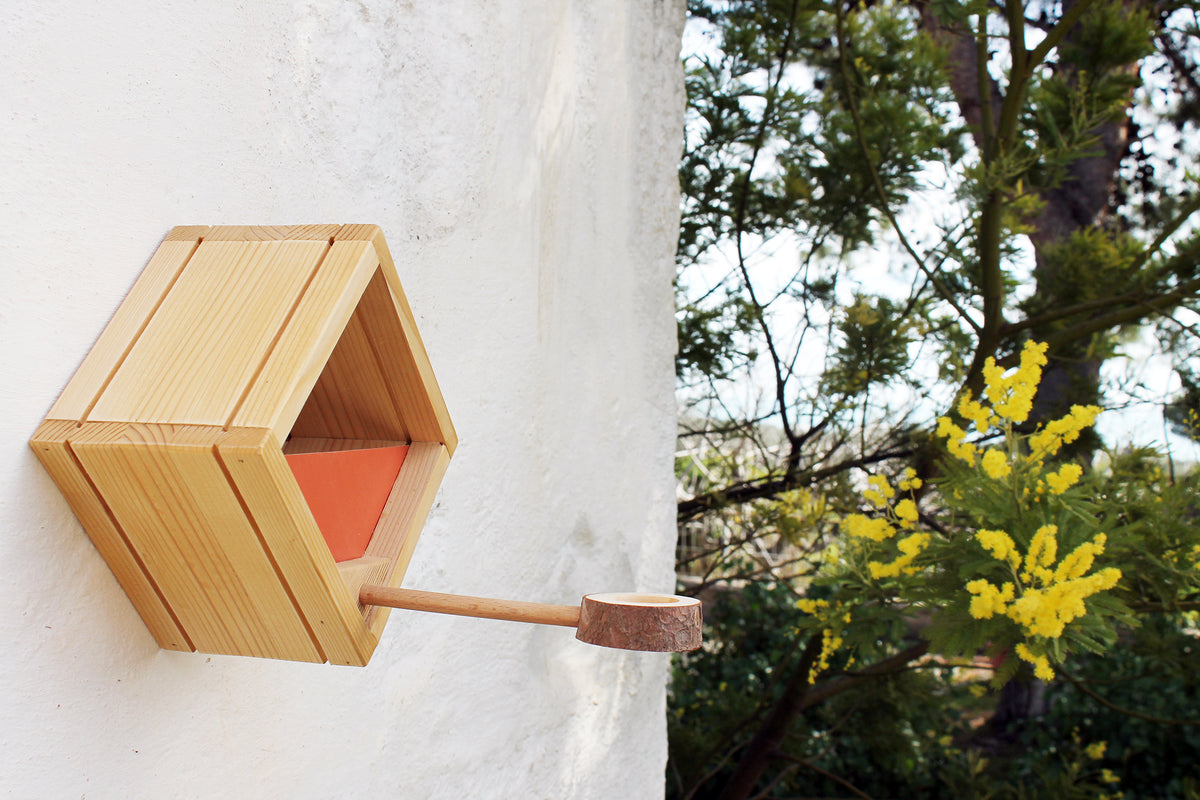 Mangiatoia, nido per uccellini. Ku-Bird feeder